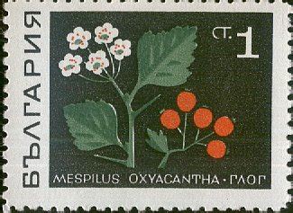 Abristamps Botanical Plant Stamps Znaczki Botanika Ro Liny Flora