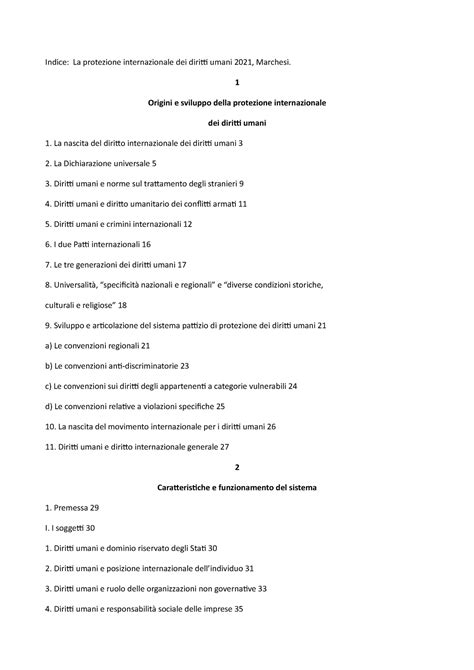 La Protezione Internazionale Dei Diritti Delluomo 1