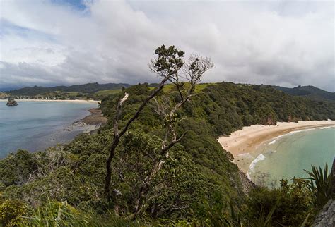 New Chums Beach, Coromandel Peninsula: Hiking to One of New Zealand's ...