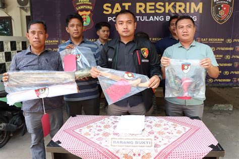 Tekab Presisi Polres Tulang Bawang Tangkap Pelaku Pembunuhan Sadis