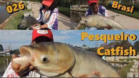 Pescaria De Carpas No Pesqueiro Catfish Equipe Brasi Youtube