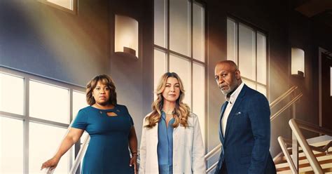 Grey s Anatomy é renovada para a 20ª temporada Blog Hiperion