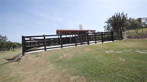 Sitio Haras De Hectares A Venda Em Porto Feliz Sp Viva Rural