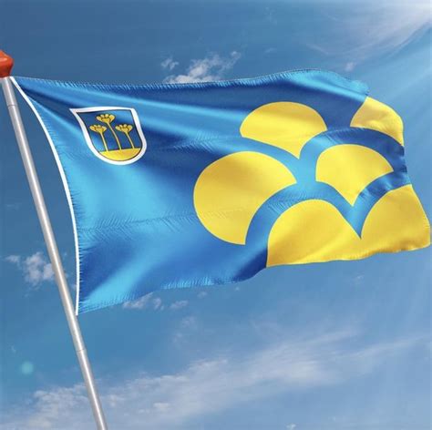 Vlag Gemeente Zoetermeer 100 X 150 Cm Polyester Bol