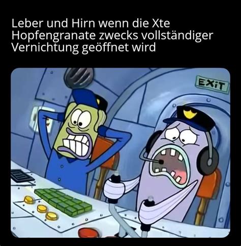 Mayday Mayday wir stürzen ab 9GAG