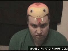 Snake Snake Discover Share GIFs