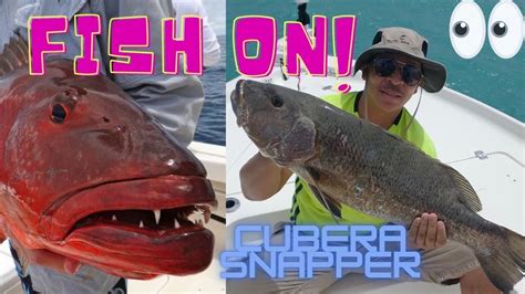 Fishing Cubera Snapper In Jupiter Florida Vlog Catch Clean