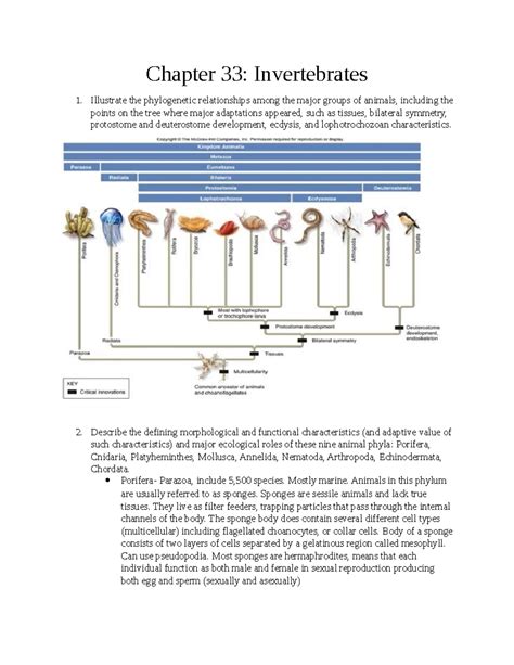 Phylogenetic Tree Of Invertebrates