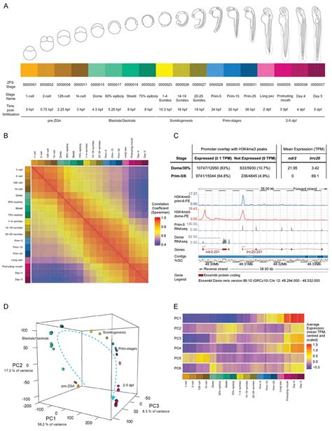 Figures and data in A high-resolution mRNA expression time course of ... 