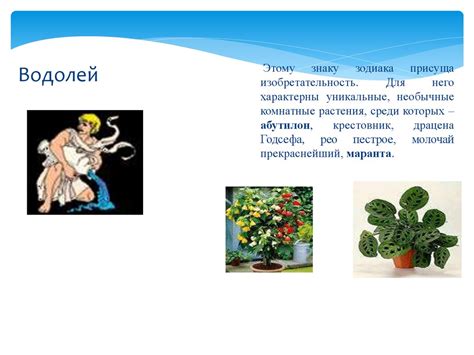 Нужны ли комнатные растения? - презентация онлайн