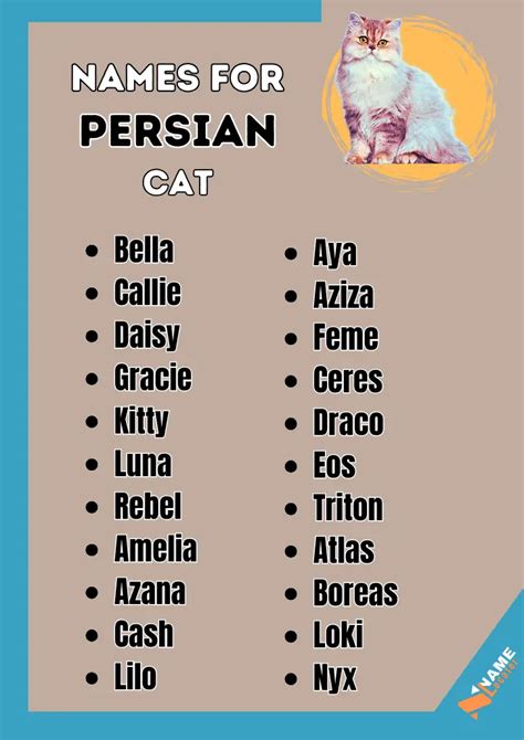 250+ Persian Cat Name Choices (With Meaning)