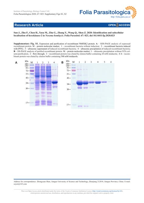 Pdf Identification And Subcellular Localisation Of Hexokinase In