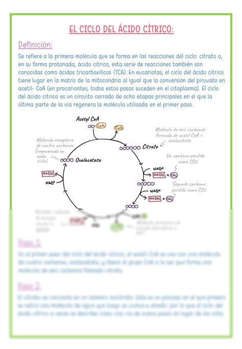 Solution Ciclo Del Cido C Trico Studypool