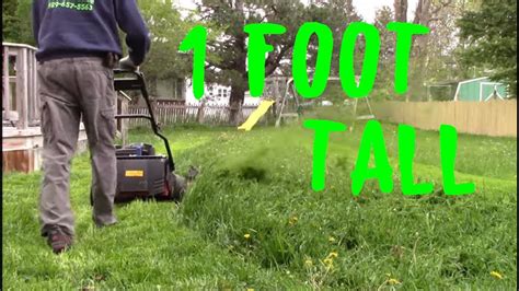 Toro Timemaster Mowing Tall Thick Grass Youtube