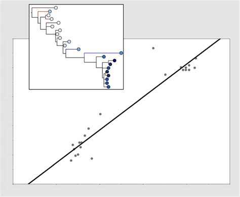 Root To Tip Analysis Identified A Temporal Signal In The Genomic Data Download Scientific