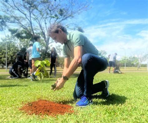 No Dia Mundial Do Solo O Col Gio La Salle Promove Plantio De Rvores