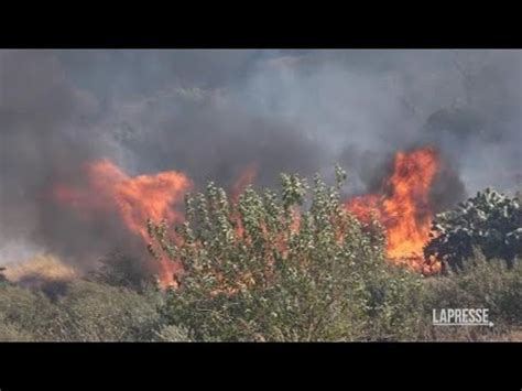 Incendi Ancora Roghi Nel Palermitano 3 Canadair In Azione YouTube