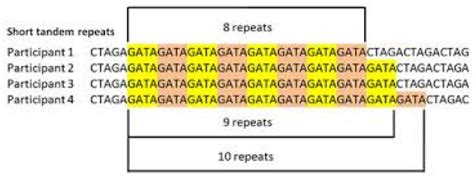 9-3 DNA Typing with Tandem Repeats - SANDERSSCIENCE