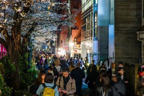 Huge Crowds Of People Celebrating Hanami Along The Meguro River Tokyo