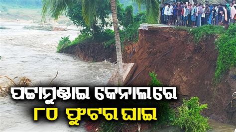 80 Ft Wide Breach In Pattamundai Canal Near Mahanga In Cuttack District