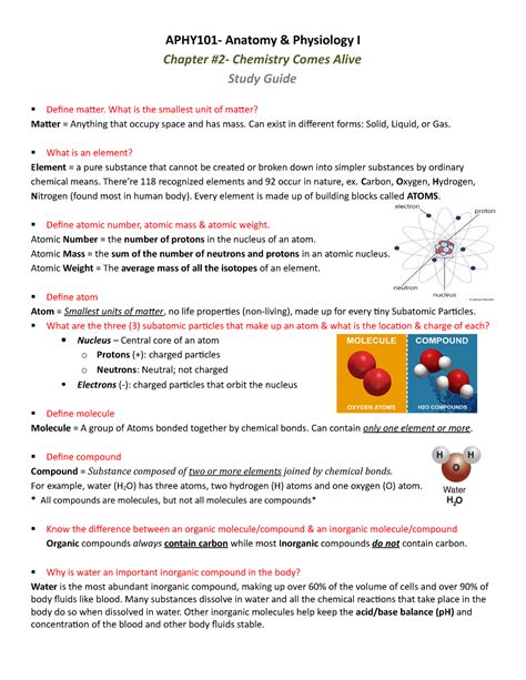 Chapter 2 Chemistry Comes Alive Study Guide APHY101 Anatomy