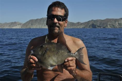 Newport Beach To Cabo San Lucas Fishing Report Bloodydecks