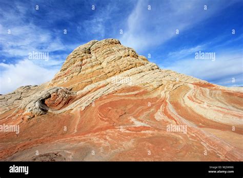 Butterfly A Rock Formation At White Pocket Coyote Buttes South Cbs