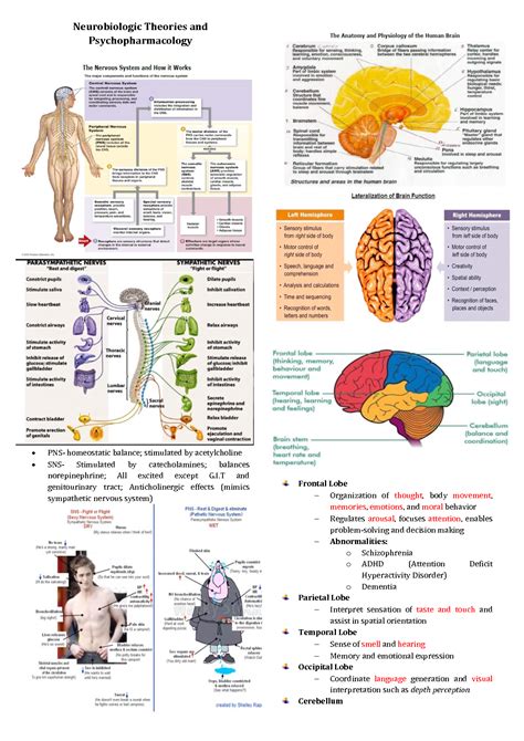 Solution Psychiatric Nursing Neurobiologic Theories And