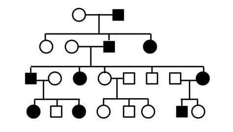 [solved] Question 4 This Pedigree Shows The Inheritance Of A Rare