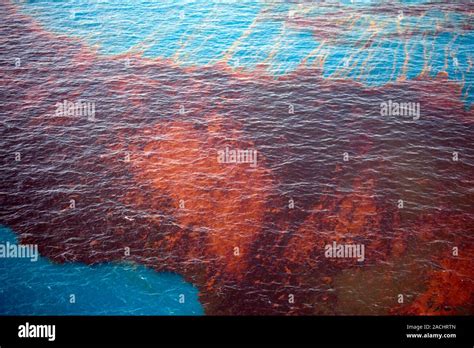 Derrame De Petr Leo En El Golfo De M Xico Marea De Agua Aceitosa Hacia