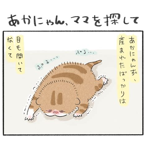 あかにゃん、ママにゃんを探して │ もふもふびより