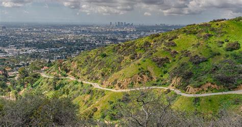 Friends of Runyon Canyon Foundation | Home