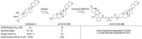 Cdk8高强度和选择性类固醇抑制剂和降解剂的开发acs Medicinal Chemistry Letters X Mol