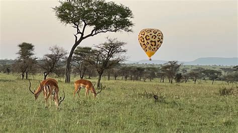 Hot Air Balloon Safari Kiliblue Expeditions