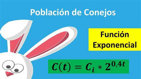 Función Exponencial Crecimiento Población Conejos Youtube