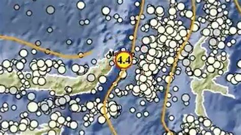 Gempa Pagi Ini Guncang Sulawesi Utara Sabtu November Magnitudo