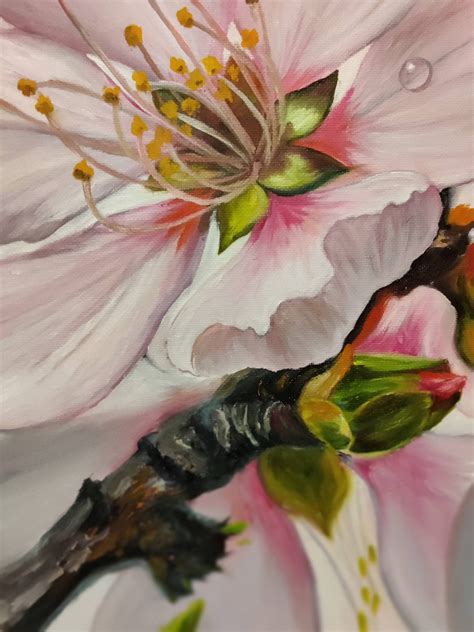 Peach Flower. Original Oil Painting on Canvas 14x18peach Blossom ...