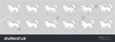 Dog Walk Cycle Animation Stock Vector Royalty Free 1767117212