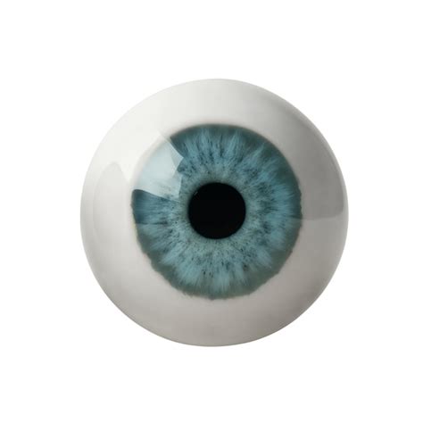 Iris Del Ojo Aislado Archivo Psd Gratis