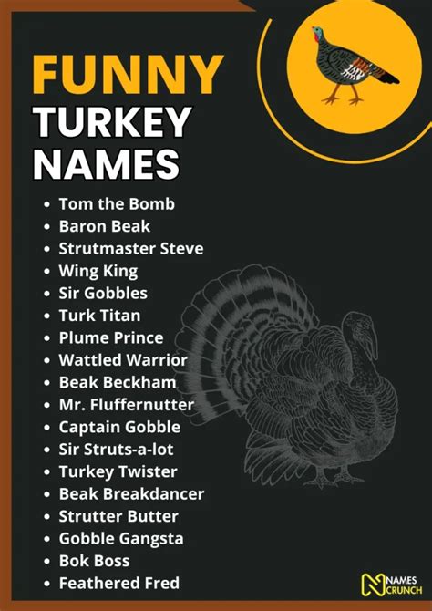 250+ Funny Turkey Names - Names Crunch