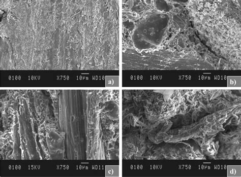 Sem Images Of Fracture Surfaces Developed In A Pla Peg And B Pla