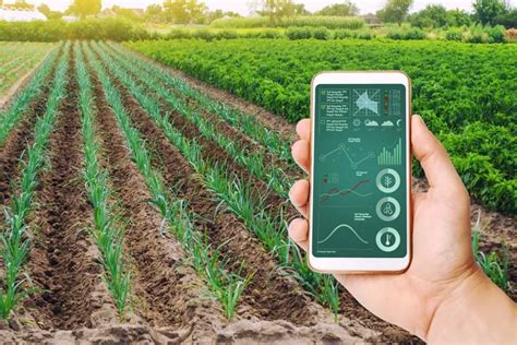 Agrotech Conhe A As Startups Que Trazem Tecnologia E Inova O Para O