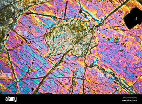 Polarized Light Microscopy