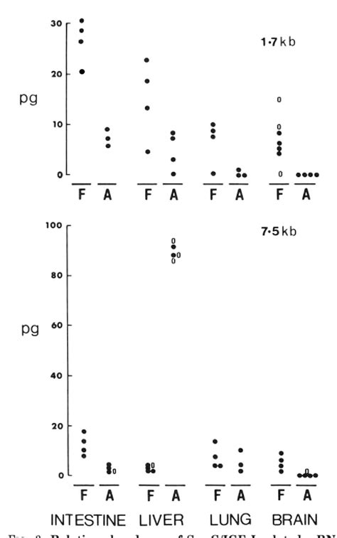 Figure 3 From Somatomedin C Insulin Like Growth Factor I And Insulin