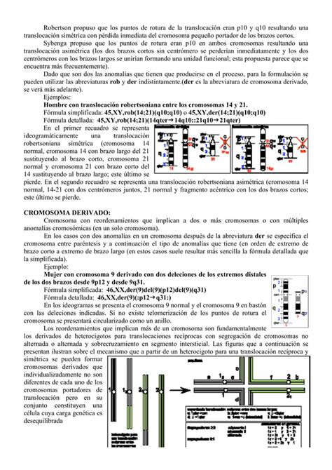 Nomenclatura De La Citogenetica Humana Pdf