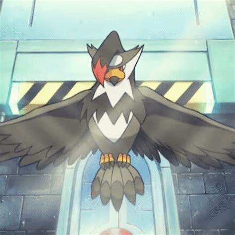 Staraptor Wiki Pokémon Amino