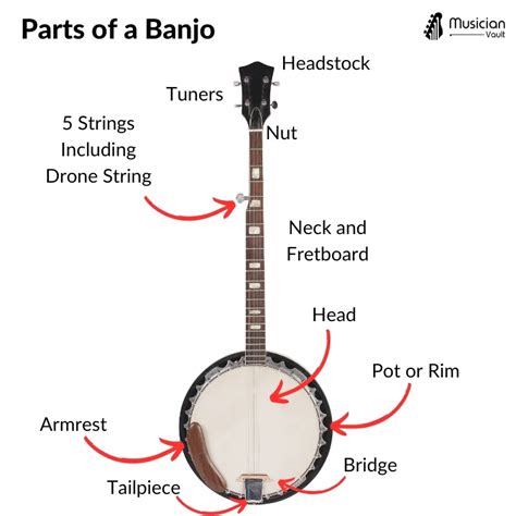 10 Tips To Help You Learn To Play Banjo Musician Vault