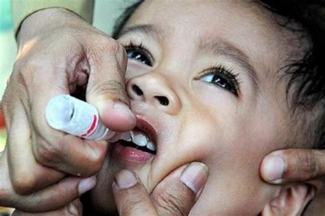 Foto INFOGRAFIK Sejumlah Fakta Mengenai Hari Polio Dunia