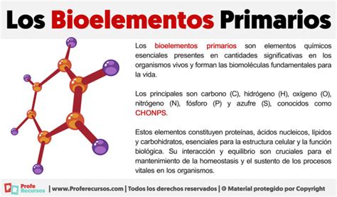 Qué Son Los Bioelementos Primarios