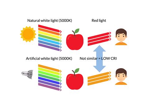 What Is Cri The Ultimate Guide To The Color Rendering